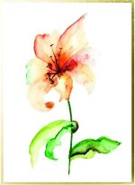 Graphique Watercolor Flowers Greeting Cards | 20 Pack | All Occasion Blank Note Cards with Envelopes | 4 Assorted Floral Designs with Gold Foil Borders | Boxed Set for Personalized Notes | 4.25" x 6" - Image 5